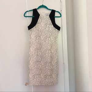 Badgley Mischka Dress